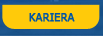 Kariera