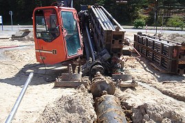 Berstlining Thomsen 04